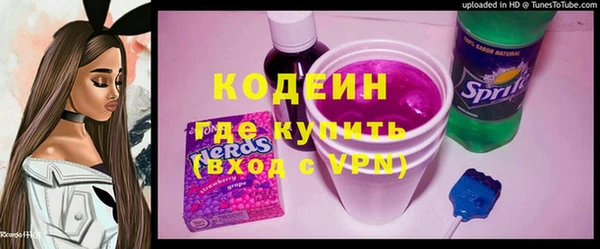 бошки Инта