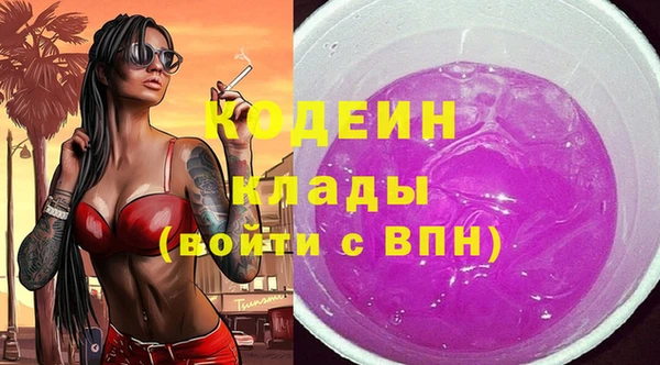 бошки Инта