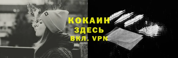 бошки Инта
