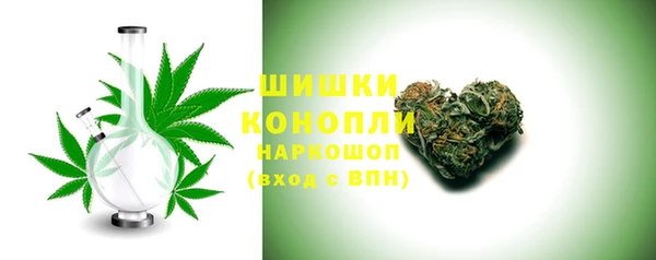 бошки Инта