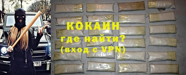 бошки Инта