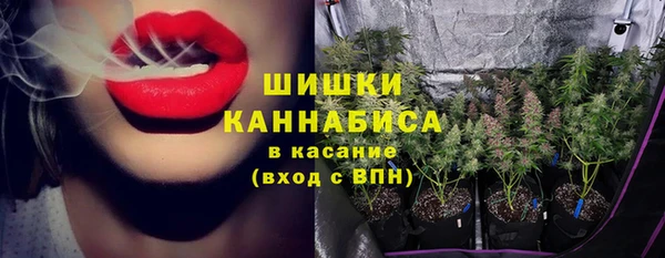 первитин Инсар