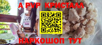 тгк Гай