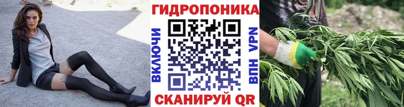 Канабис LSD WEED omg сайт Касимов